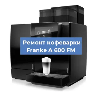 Чистка кофемашины Franke A 600 FM от накипи в Новосибирске